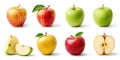 Nine colorful apples displayed on a white background with one apple cut in half showing the inside. Royalty Free Stock Photo