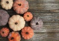 Nine rustic aged pumpkins diffent colors on a rustic wooden background.