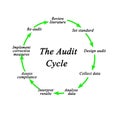 Components of Audit Cycle