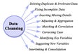 Components of Data Cleansing