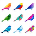 Nine creatively patterned artistic bird icons Royalty Free Stock Photo
