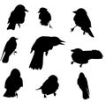 Nine crow silhouette set