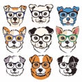 Nine different cute dogs wearing colorful glasses. Cartoon style illustrations diverse dog breeds