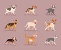 nine dogs mascots Royalty Free Stock Photo