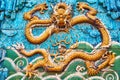 Nine Dragon Wall Forbidden City Beijing China Royalty Free Stock Photo