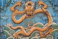 nine dragons wall at the forbidden city in beijing (china) Royalty Free Stock Photo