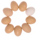 Nine eggs in circle. One egg white.