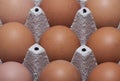 Nine eggs close-up