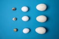 Nine eggs - of quail, hen and a goose isolated on blue background flat lay