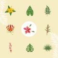 nine exotic tropical plants