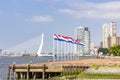 Nine flagpoles with the Dutch flag on the head of the peninsula of Katendrecht with in the background the Erasmus bridge in Rotter