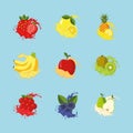 nine fruits splash