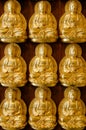 Nine Golden Buddha