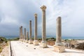 Nine granite columns, palaestra in Al Mina archaeological site, Roman ruins in Tyre, Lebanon Royalty Free Stock Photo