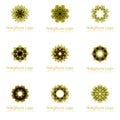 Nine green and brown flower logos with geometric shapes in pack. for the celebration of the religion and architecture of the Middl