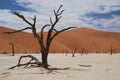 Deadvlei landscape. Sossusvlei. Namibia Royalty Free Stock Photo