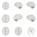 Nine illustrations of the human brain depict its structure in various angles. The image Royalty Free Stock Photo