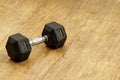 Nine kg weight for workingout Royalty Free Stock Photo