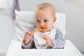 Nine month baby boy eating in dining chair, little baby learning eating with spoon, baby smeared with blend carrot, baby feeding Royalty Free Stock Photo