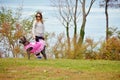 Nine month old cane corso italian mastiff in dress Royalty Free Stock Photo