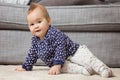 Nine months old baby girl on the floor Royalty Free Stock Photo