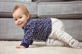 Nine months old baby girl on the floor Royalty Free Stock Photo
