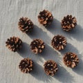Nine pine cones are arranged in a grid pattern on a textured gray fabric surface Royalty Free Stock Photo