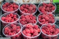 Nine plastic cans with fresh organic raspberries in display at a street food market, photographed with soft focus