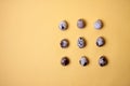 Nine quail eggs on yellow background flat lay