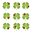 Nine simple luck clovers with ladybug