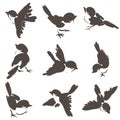 Nine sparrow poses