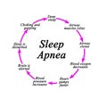 Development of Sleep Apnea