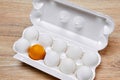 Egg crate with nine white eggs and one golden yellow on a wooden table surface Royalty Free Stock Photo