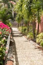 Famous 99 steps Charlotte Amalie