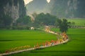 Ninh Binh, Vietnam - Apr 10, 2017: Thai Vi traditional spring festival with crowded people and palanquin, dancing dragon, flag...w