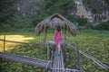 Ninh Binh, Vietnam, beautiful landscape of rice fields among the mountains, view from the top of the mountain, Tam Coc National Royalty Free Stock Photo