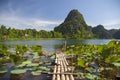 Ninh Binh, Vietnam, beautiful landscape of rice fields among the mountains, view from the top of the mountain, Tam Coc National Royalty Free Stock Photo