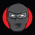 Ninja Face Royalty Free Stock Photo