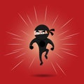 Ninja Hero Royalty Free Stock Photo