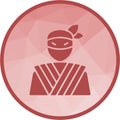 Ninja icon vector image.