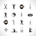 Ninja Icons Set