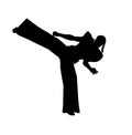 Ninja kick Royalty Free Stock Photo