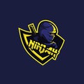 Ninja logo for squad gaming