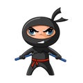 Ninja with nunchaku