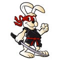 Ninja rabbit cartoon