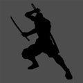 Ninja silhouette Royalty Free Stock Photo