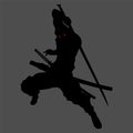 Ninja silhouette