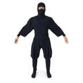 Ninja Standing Pose On White Background. 3D Illustration, isolated