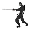 Ninja sword draw Royalty Free Stock Photo