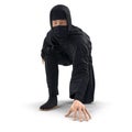 Ninja Taking Fighting Pose On White Background. 3D Illustration, isolated